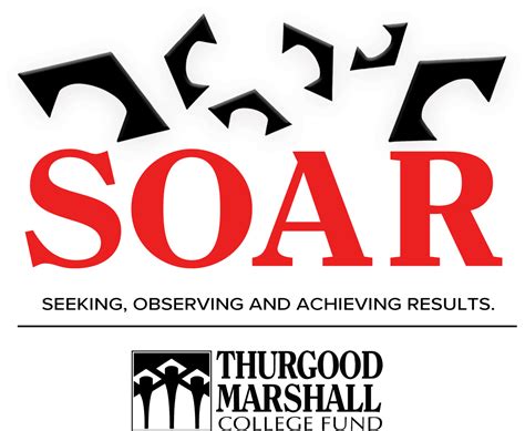 Image result for SOAR