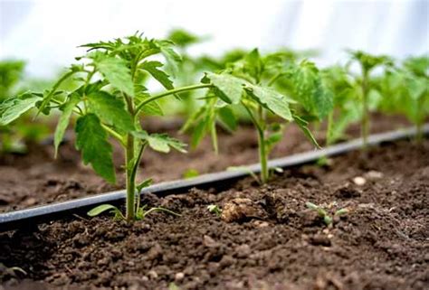 Agro Tech Industries | Gallery | Photo showcase | Agro Tech Industries ...