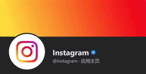 ins官方正版下载-中国怎么上instagram？ | 薇兔维尼