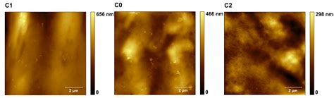 Physical Properties of Starch/Powdered Activated Carbon Composite Films