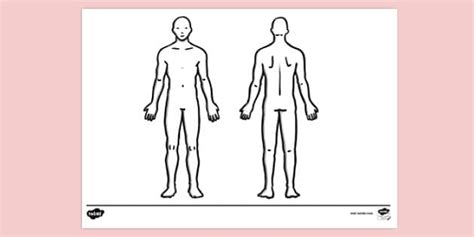 Front and Back of Body Colouring Sheet | Colouring Sheets