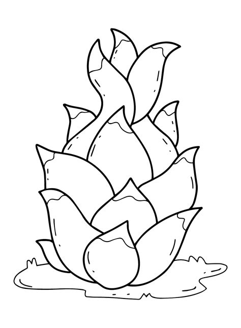20+ Dragon Fruit Coloring Pages - Free Printable PDF & Online Coloring