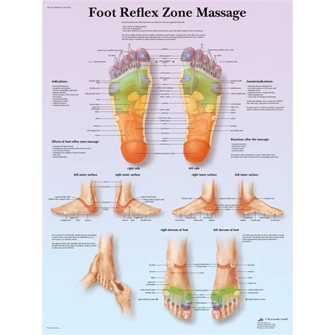 Foot Massage Diagram