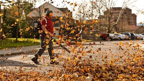 Flying Using Leaf Blowers 的图像结果