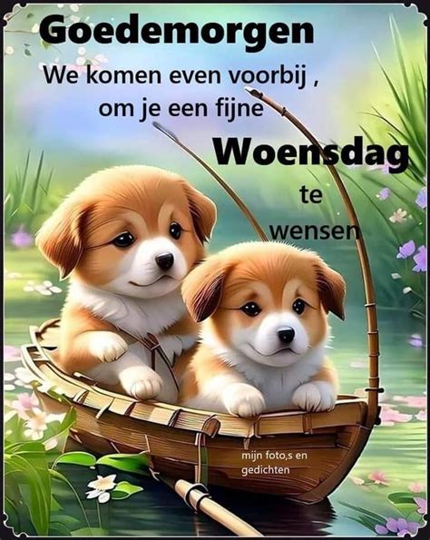 Image result for Good Morning Cockapoo