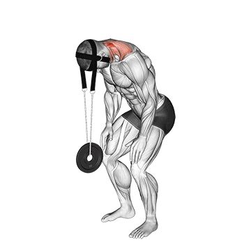 Image result for Musculation Du Cou Exercice