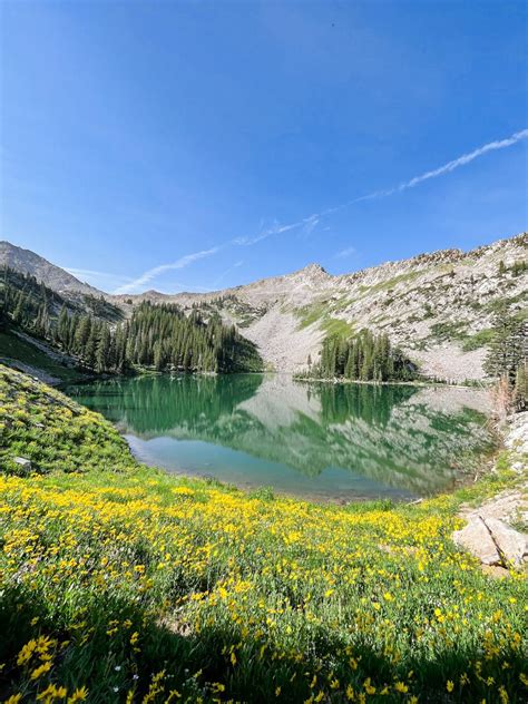 Hiking Red Pine Lake in Utah: Tips, Highlights, and More - Earth to Kat