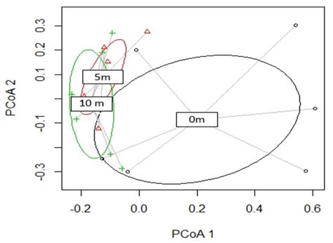 Natural Surface Hydrocarbons and Soil Faunal Biodiversity: A ...