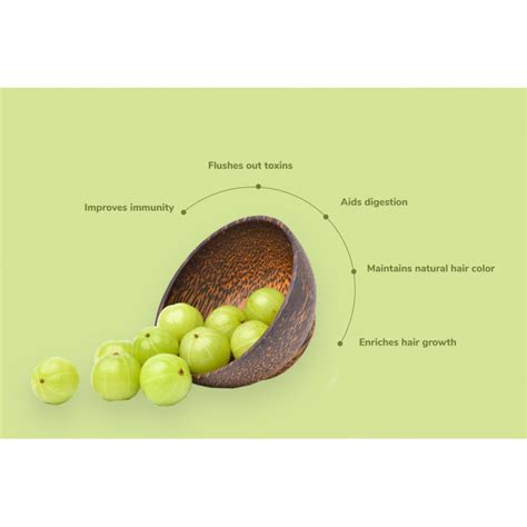 EasySeeds Amla , Indian gooseberry ,Amalaka, Phyllanthus emblica,Nilli ...
