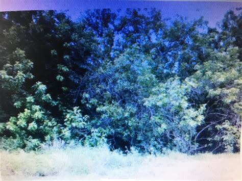 Notlems - Best photos on dibujosparaimprimir.net