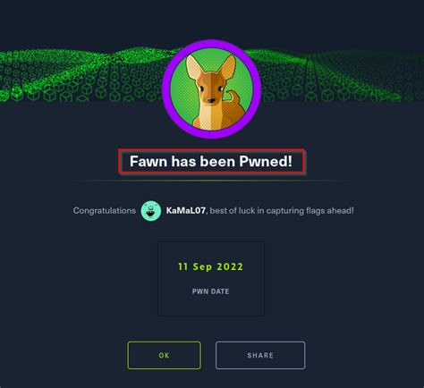 Image result for Answer to Hack the Box Code Block 2 Python