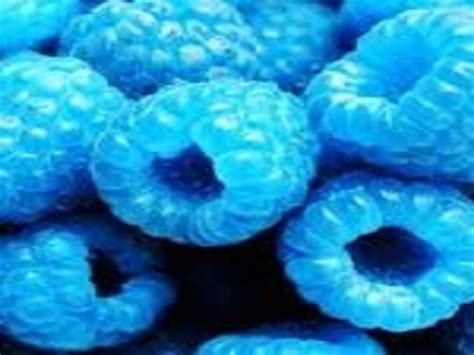 Blue Raspberry Candy - CakeAndBarrel