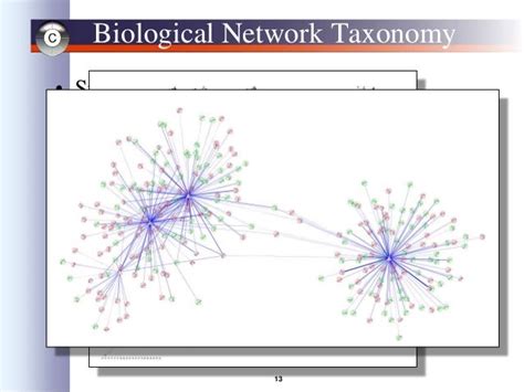 Image result for Cytoscape Network Analysis Tutorial