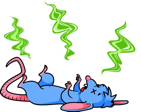 The Best way to get rid of a Dead Rat or Dead Mouse smell – Rivan Designs Pty Ltd t/a Pest and ... - what is the smell of dead mouse