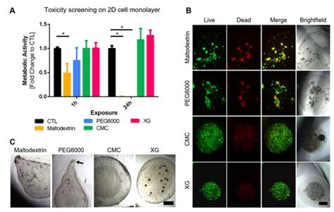 Bioengineering | February 2022 - Browse Articles