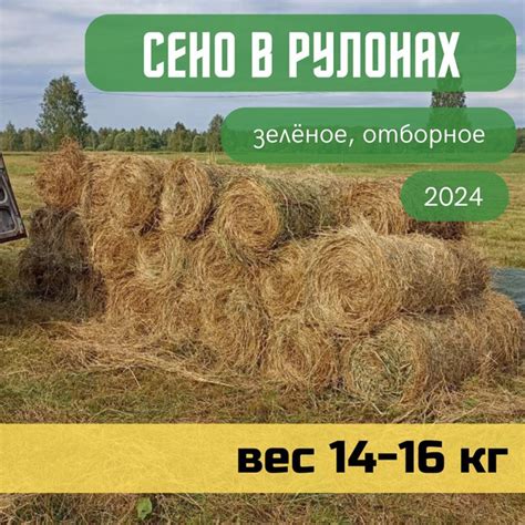 Сено луговое, рулон 14-16 кг, отборное, зеленое для грызунов и других ...