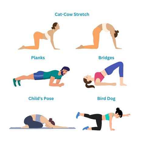 Image result for Spinal Health Exercises