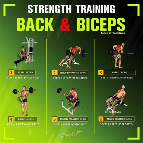 Back And Biceps: The Best Workout Combination - GymGuider.com | Back ...