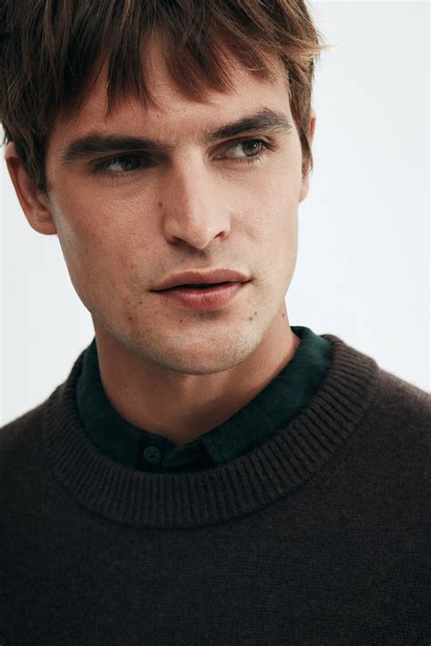 Men’s Brown Regular Fit Fine-knit wool jumper | H&M IN