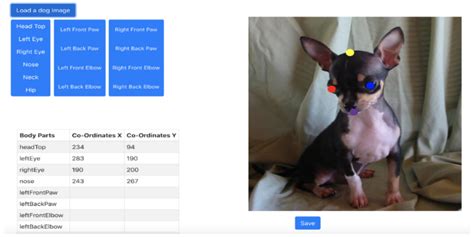 Markerless Dog Pose Recognition in the Wild Using ResNet Deep Learning ...