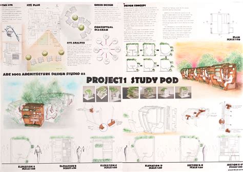 Study Pod Examples 的图像结果
