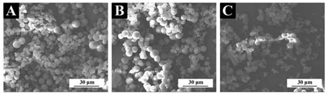Effect of Transparent, Purple, and Yellow Shellac Microcapsules on ...