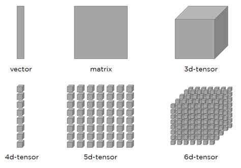 Image result for Pytorch Tensor