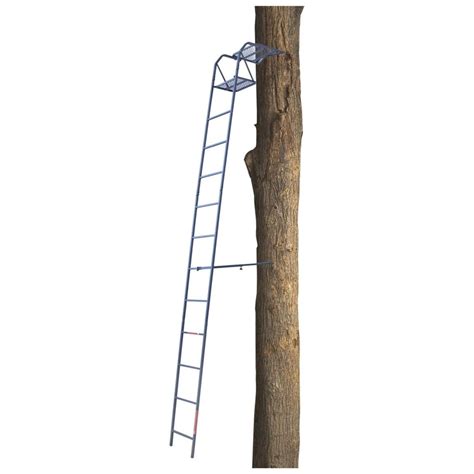 Guide Gear(R) 15 foot Ladder Tree Stand | Ladder tree stands, Tree ...