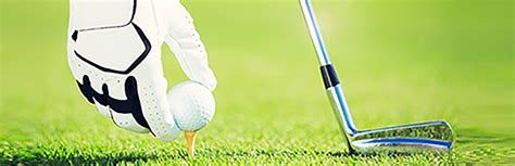 Image result for Video Golf HTML Code Link