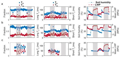 Circadian Variation of Root Water Status in Three Herbaceous Species ...