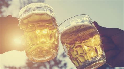 Cinco datos que un amante cervecero debe conocer - TSM Noticias