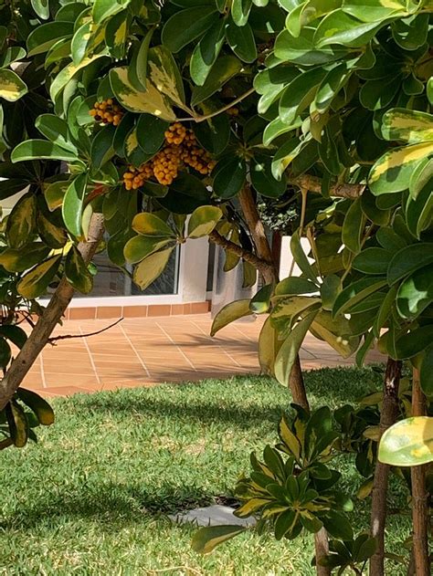 HOTEL RONDO (Maspalomas, Gran Canaria) - Hotel Reviews, Photos, Rate ...