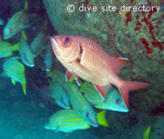 Costa Rica Tourism (2026) Mexico - Best Places to Visit in Costa Rica ...