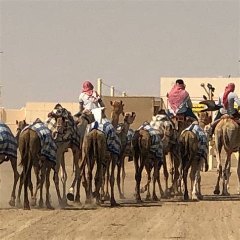 AL SHAHANIYA RACETRACK - All You Need to Know BEFORE You Go 2026 (with ...