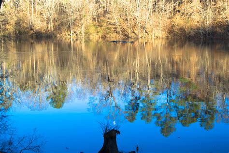 Elevation of Arnette Park, Wilmington Hwy, Fayetteville, NC, USA ...