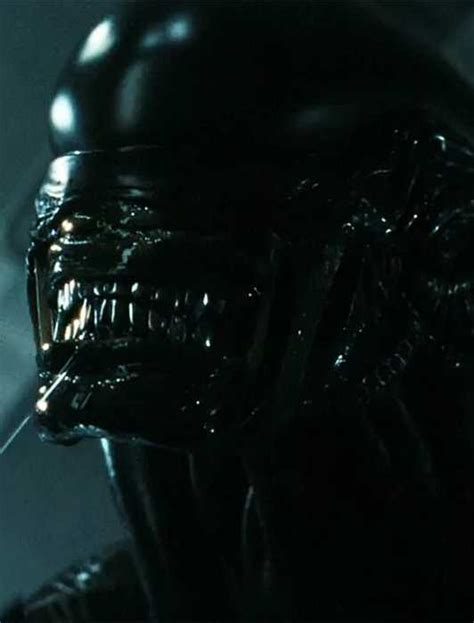 Image result for Alien First Death