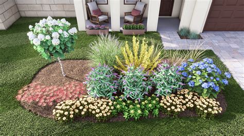 Tall Grasses For Landscaping Your Yard | Plant By Number