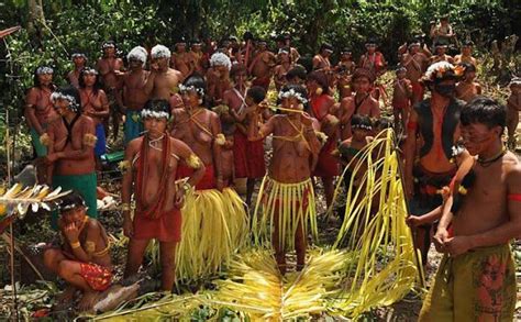 Unveil the Enchanting Costumes and Customs of the Yanomami Tribe