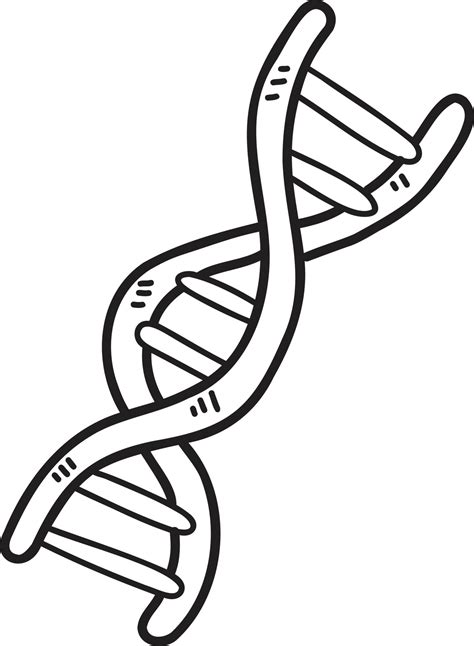 genes dibujados a mano e ilustración de adn 15429822 Vector en Vecteezy