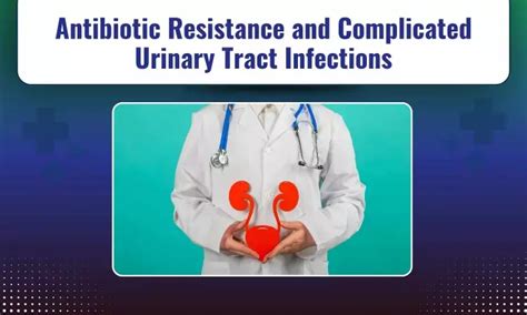 Complicated Urinary Tract Infections: Current Management Challenges and ...