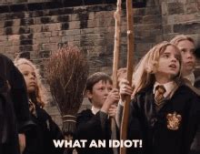 What An Idiot GIFs | Tenor