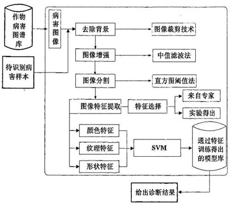软件开发技术路线软件开发技术路线图2022已更新今日热点