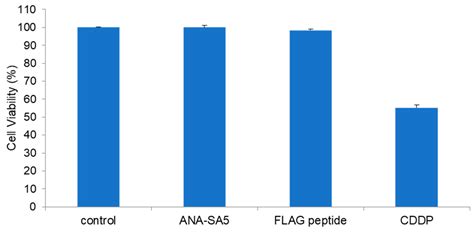 SKGQA, a Peptide Derived from the ANA/BTG3 Protein, Cleaves Amyloid-β ...