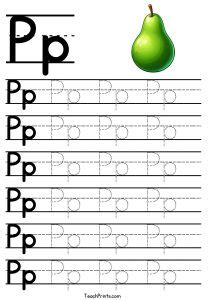Image result for Sorting Algorithm Vector