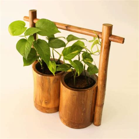 Picked Crafts Wall Hanging pots for Plants, Natural Bamboo Planter ...