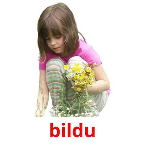 Free Basque Lessons 的图像结果