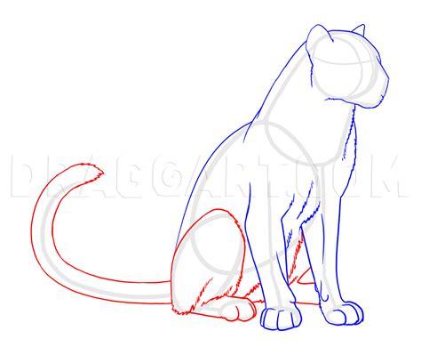 Image result for Draw Panther Tutorial