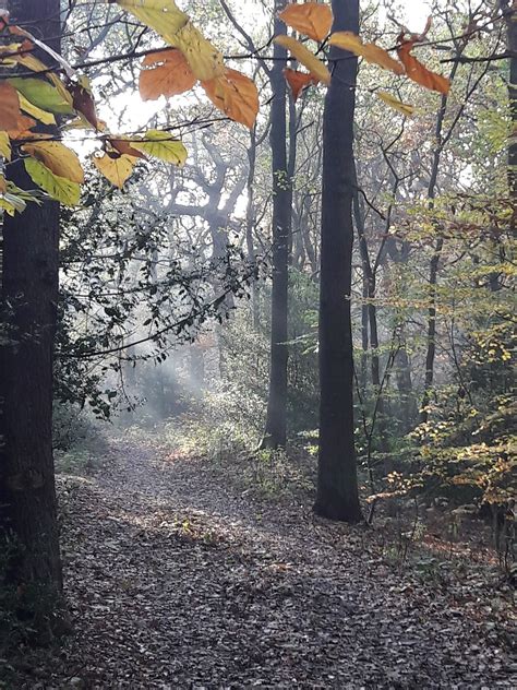 Gong Relaxation - Farsley, Om Yoga Works, Leeds, 25 August 2024 | AllEvents