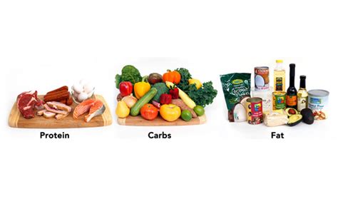 Image result for Which Macronutrient Builds All Structures