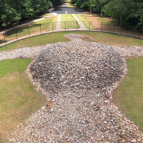 DIVINE TRIBE TOURS (2026) All You Need to Know BEFORE You Go (with ...